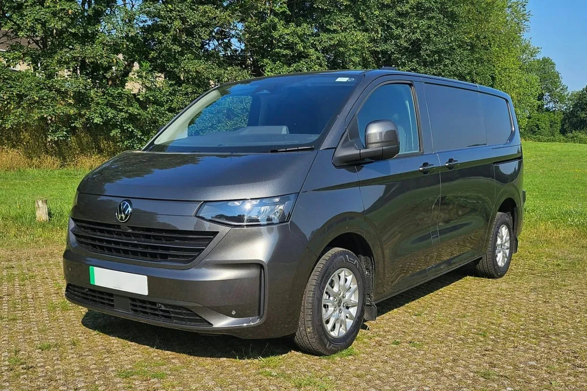 Grauer VW-Transporter auf einer Wiese