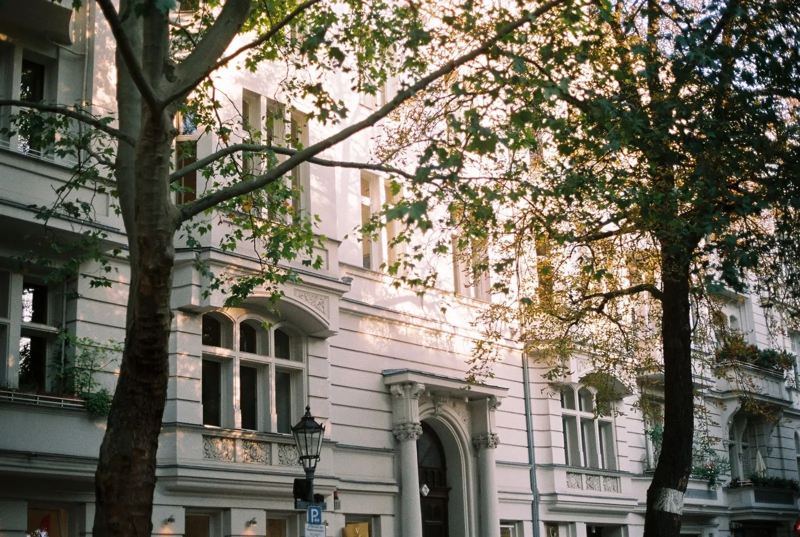 Altbauten mit Stuckfassaden und Erkern hinter Straßenbäumen
